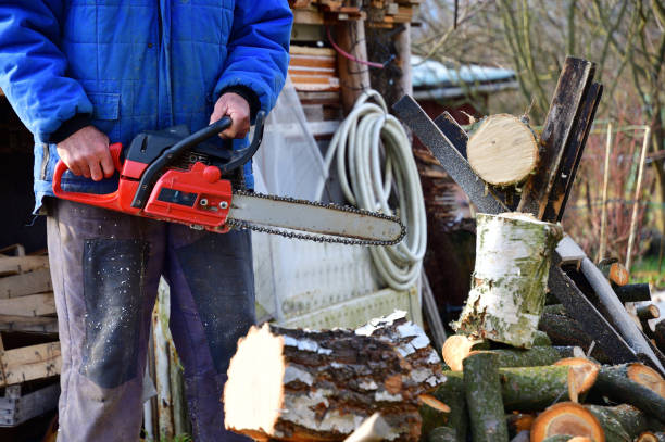 "Chainsaw in use with proper safety gear"