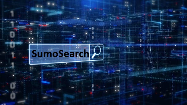 A user-friendly search engine interface showcasing SumoSearch's advanced features.